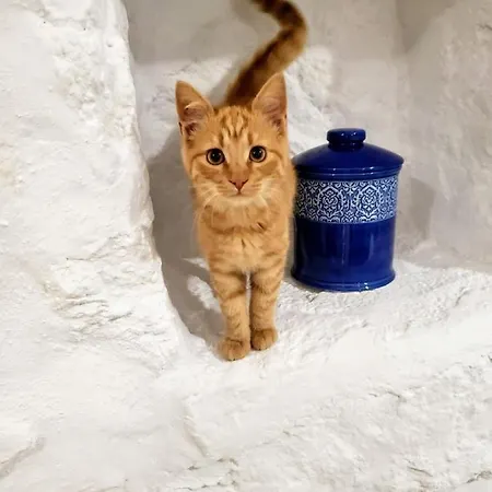 Appartement Sugar Blue à Mykonos Town Extérieur photo
